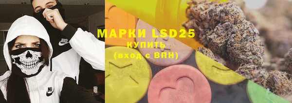 PSILOCYBIN Вяземский