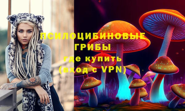 сатива Володарск