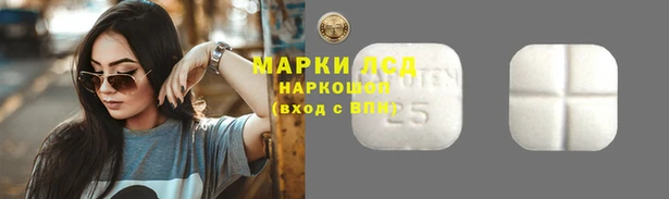 PSILOCYBIN Вяземский