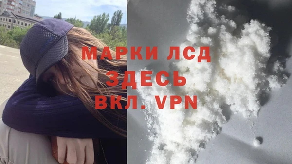 сатива Володарск